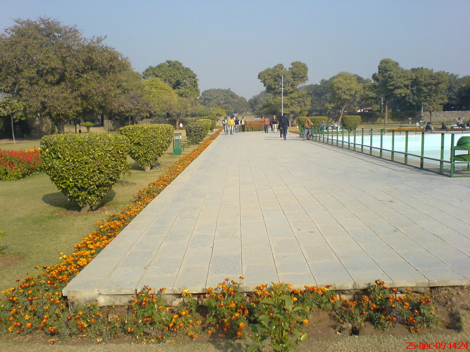 Terraced Garden cover